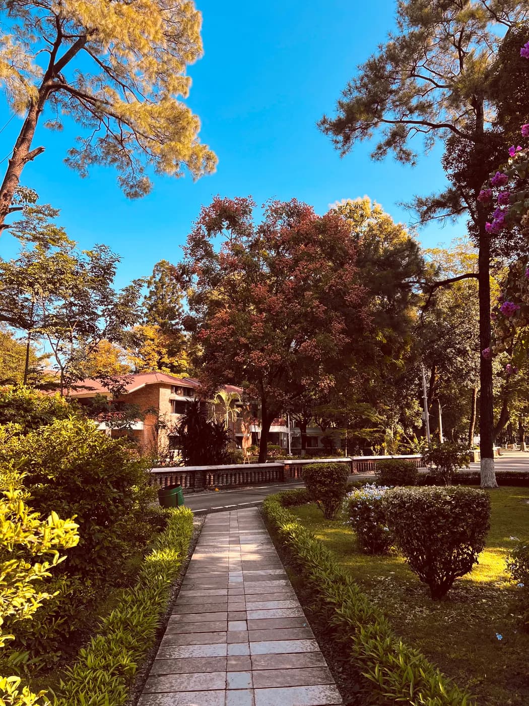 A paved path between clipped hedges and lawns under tall trees, a red-roofed building beyond