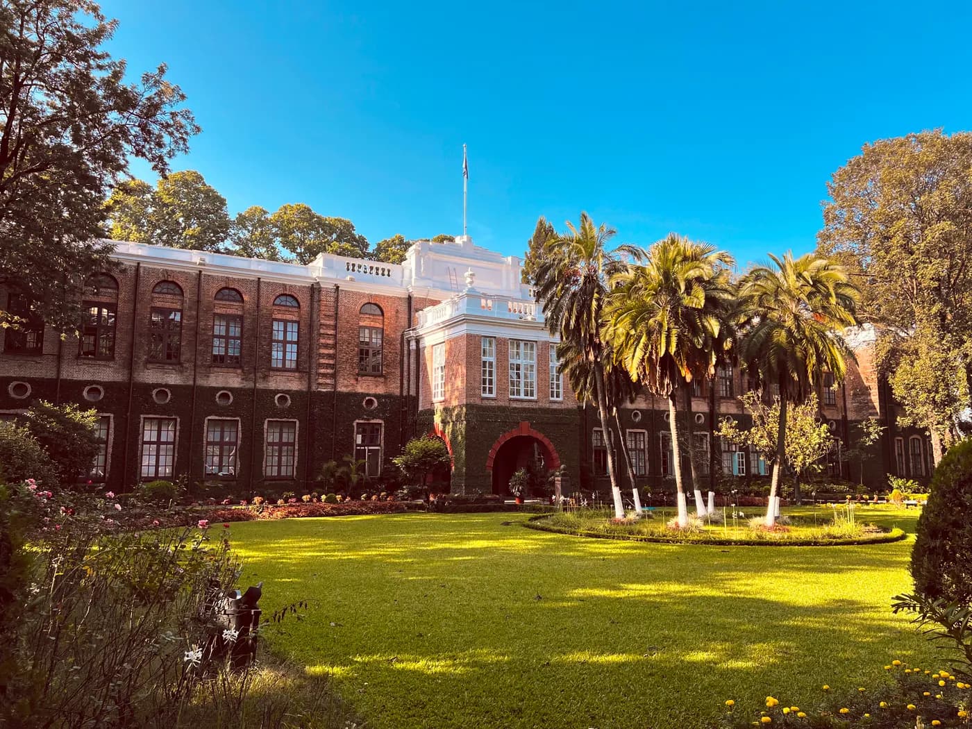 The Main Building’s red-brick front in sunshine, palms ringed by a circular garden on the lawn before it